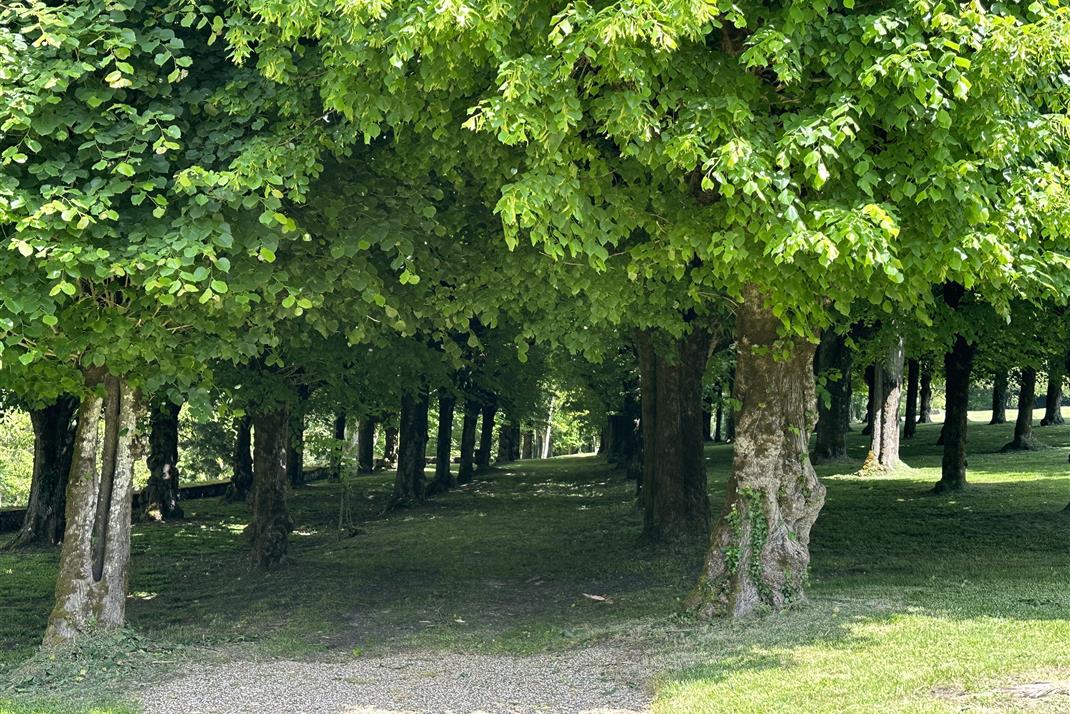 Parc et Jardin Château de La Côte Brantome Dordogne